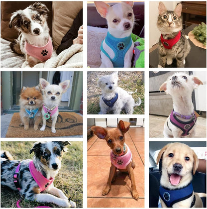 BINGPET Small Dog Harness - Breathable Mesh Puppy Cat Harnesses - No Pull Adjustable Dog Harness