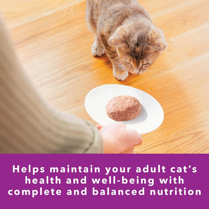 IAMS Perfect Portions Sensitive Digestion & Skin Adult Wet Cat Food Pate, Turkey Recipe, 2.6 oz.