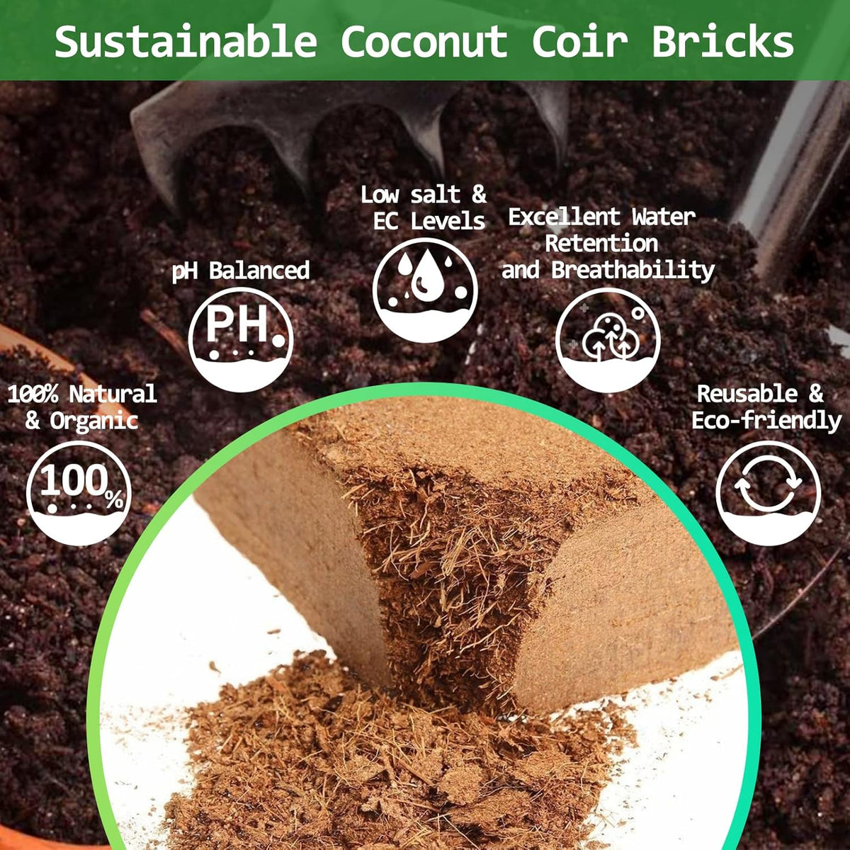Riare 12pcs Organic Coco Coir Bricks Soil Blocks- 100% Natural Compressed Coco Peat Brick Coconut