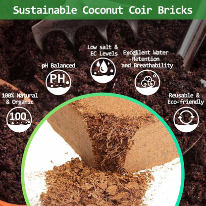 Riare 12pcs Organic Coco Coir Bricks Soil Blocks- 100% Natural Compressed Coco Peat Brick Coconut