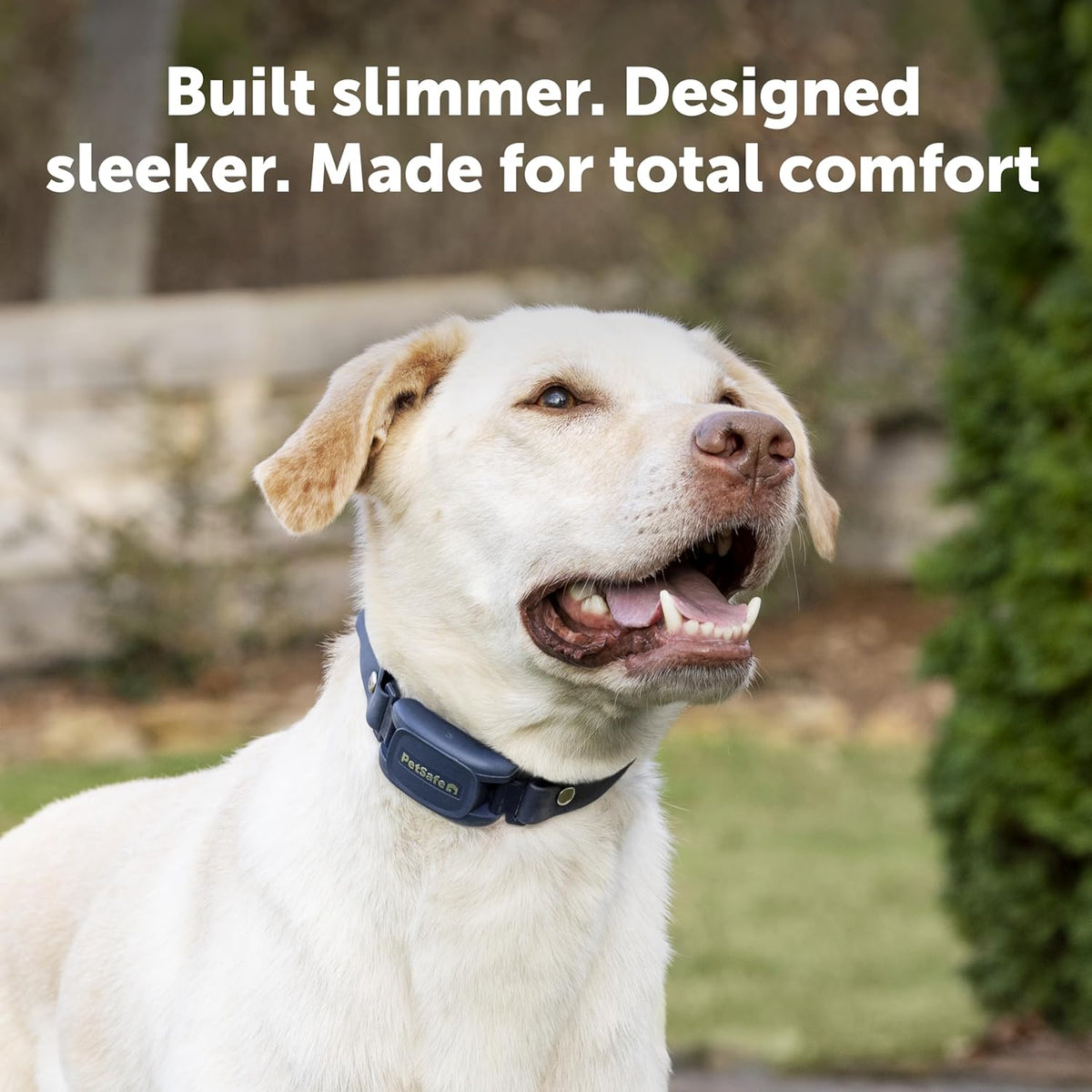 PetSafe Pro Dog Trainer with Remote – Waterproof Training Collar – 1000 ft Range – Tone, Vibration