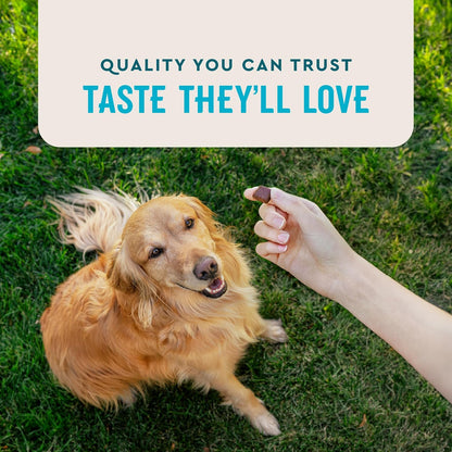VetIQ Advanced Hip & Joint Chews For Dogs, 60 Count, Chicken Flavored Supplements Made with