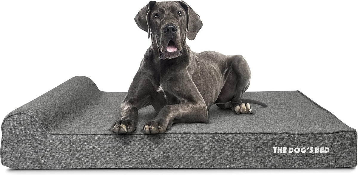 The Dog’s Bed Orthopedic Headrest Dog Bed XXL Grey Linen 54x36, Memory Foam, Pain Relief for