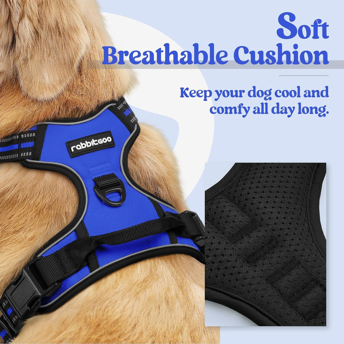 rabbitgoo Dog Harness No Pull with 2 Leash Clips, Adjustable Soft Padded, Reflective Oxford No