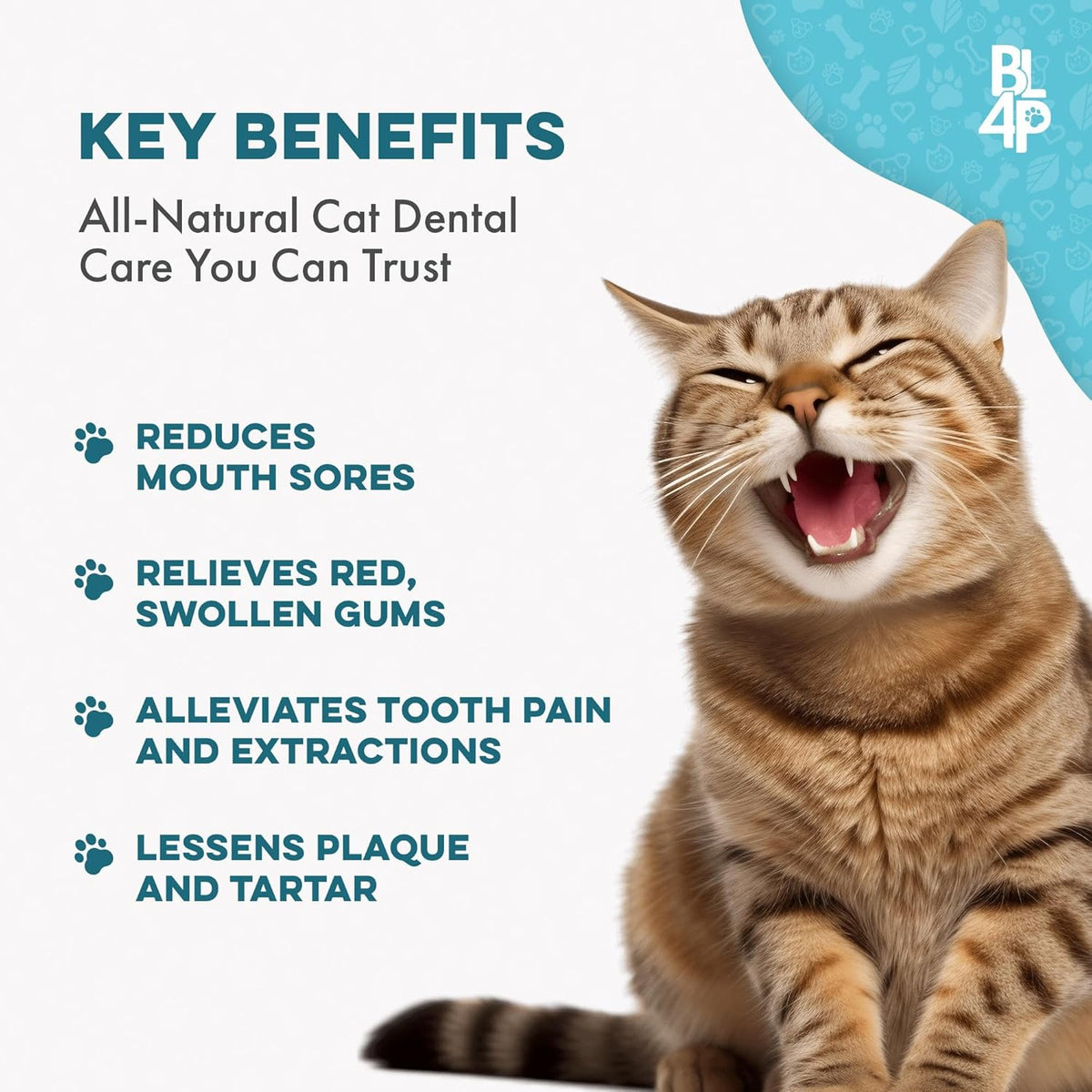 Cat Dental Supplement for Bad Breath, Tartar & Gum Support – Natural Oral Tablets for Fresh Breath