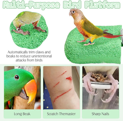 PINVNBY 5 Pack Bird Perch Resin Bird Beak Grinding Stone Parrot Cage Perch Stand Platform Foot