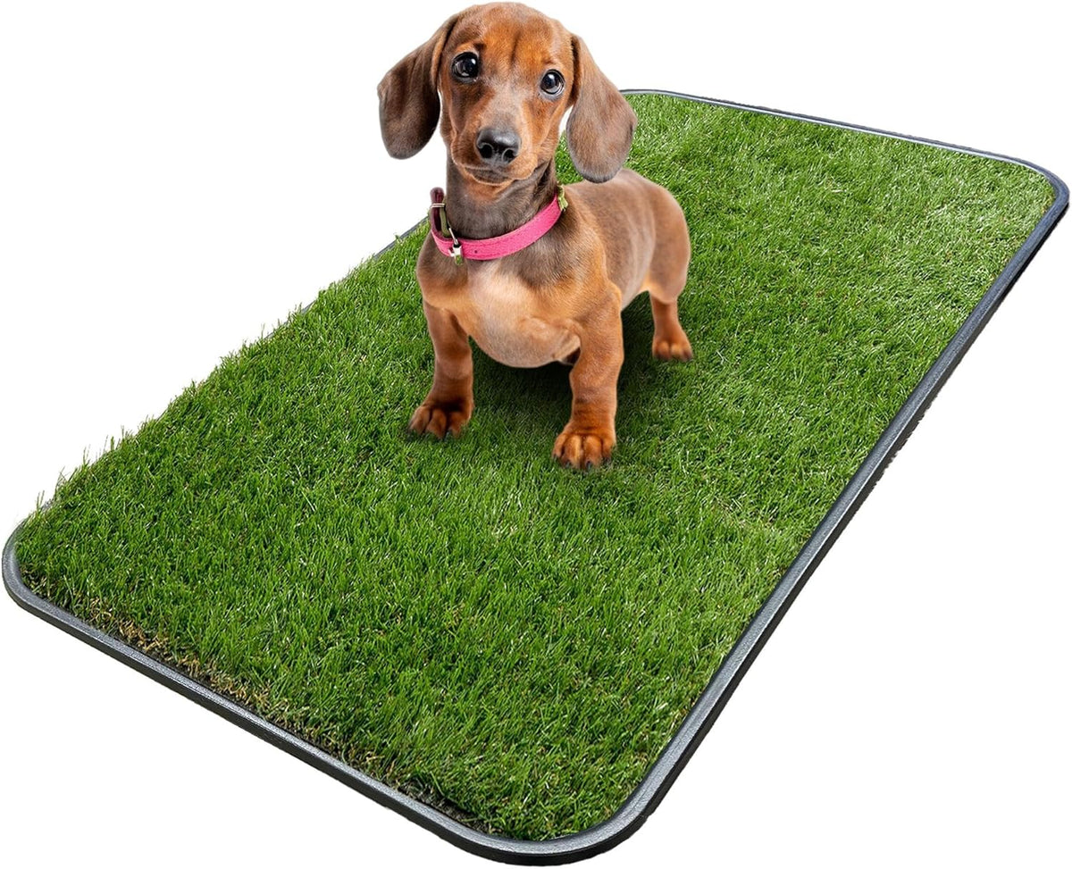 Ottomanson Artificial Grass Puppy Potty Training Pad with Tray, 15" x 30" Reusable Pee Pad for