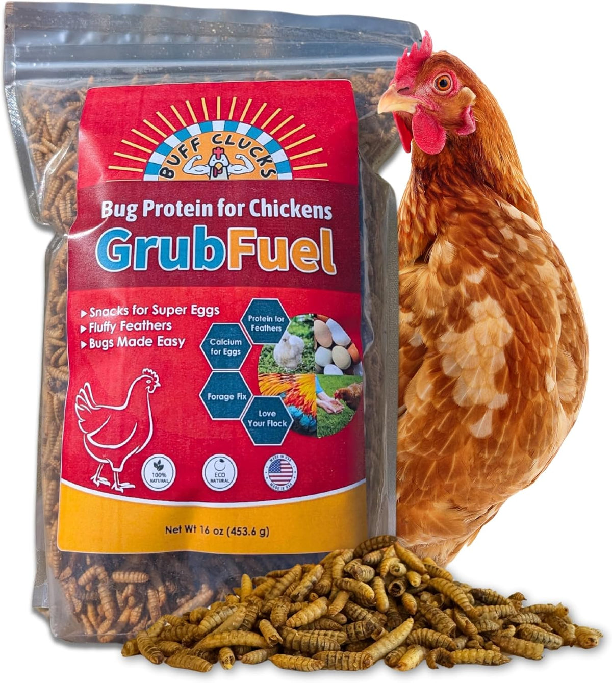Grub Fuel Black Soldier Fly Larvae for Chickens - Nutrient-Packed BSFL, Sustainably Sourced Snack