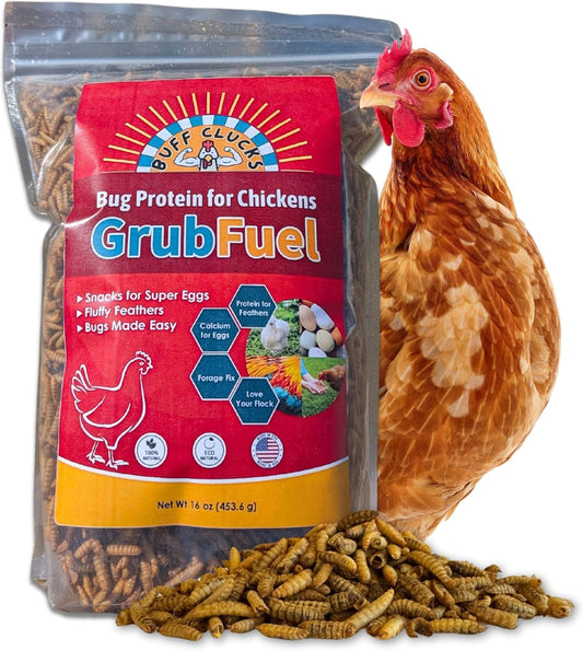 Grub Fuel Black Soldier Fly Larvae for Chickens - Nutrient-Packed BSFL, Sustainably Sourced Snack