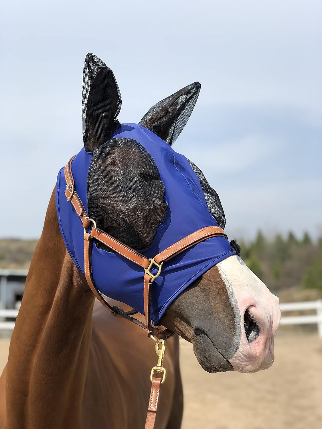 Horse Fly Mask Super Comfort Horse Fly Mask Elasticity Fly Mask with Ears We Only Make Products