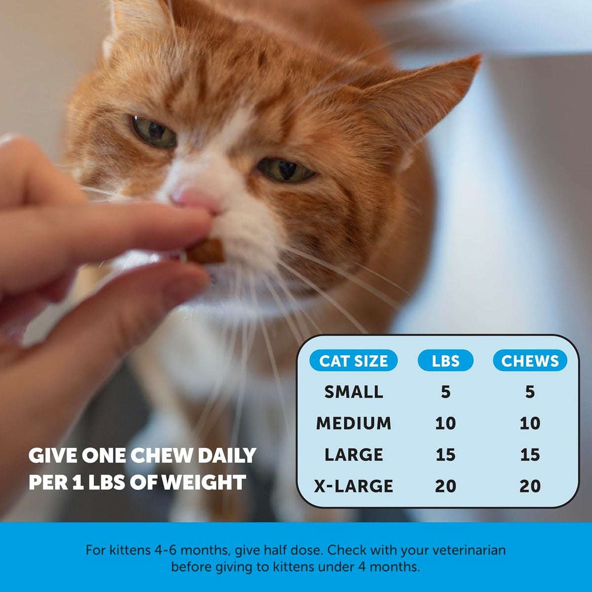 Cat Skin & Coat Health Crunchy & Creamy Chews - Omegas, Vitamin C + E, Biotin Supplement, Soothes