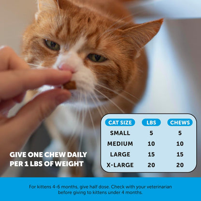 Cat Skin & Coat Health Crunchy & Creamy Chews - Omegas, Vitamin C + E, Biotin Supplement, Soothes