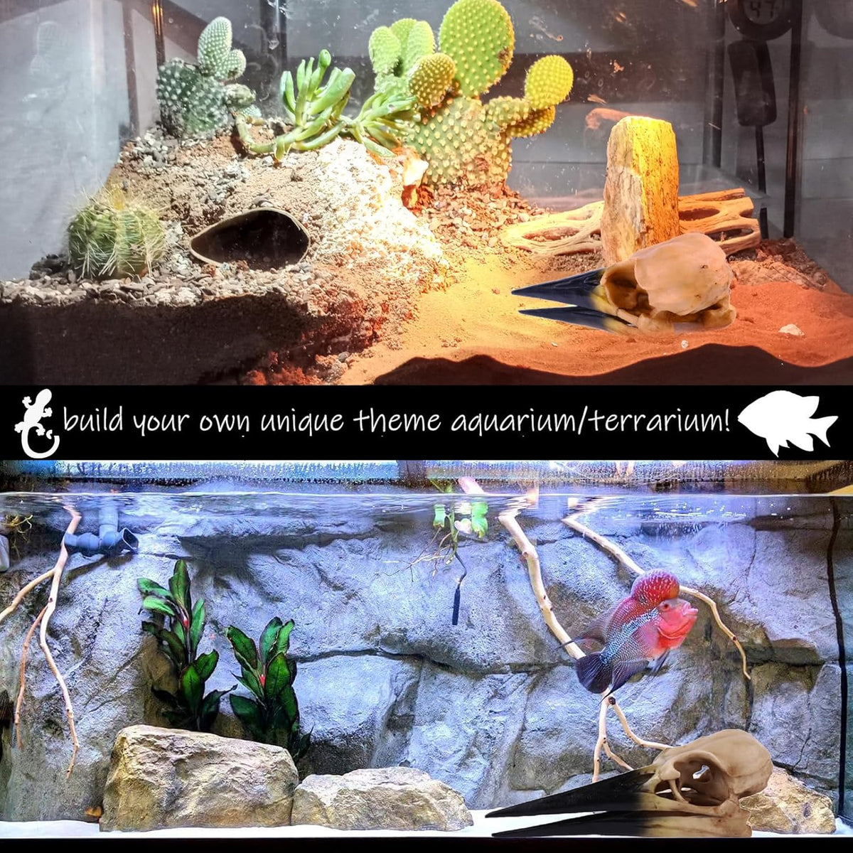 Fish Cave Hideout Ornament Décor for Terrarium Dinosaur Animal Skull Aquarium Large Decorations