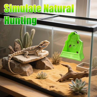 Reptile Anti-Escape Feeding Bowl, Wall-Mounted Feeder for Reptile, Stimulate Hunting Accessories