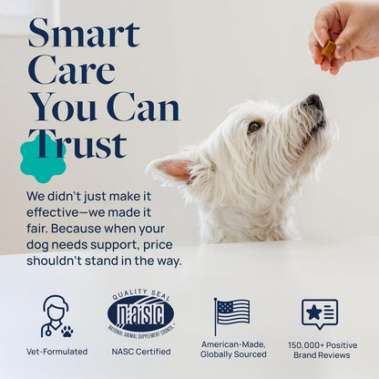 Veterinary Formula Gut Health Supplement for Dogs – Vet-Formulated Probiotic Chews with Digestive