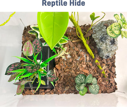Small 2 Pcs Humid Hideout Cave for Reptiles, Snake Hide for Ball Pythons, Gecko Hide, Leopard
