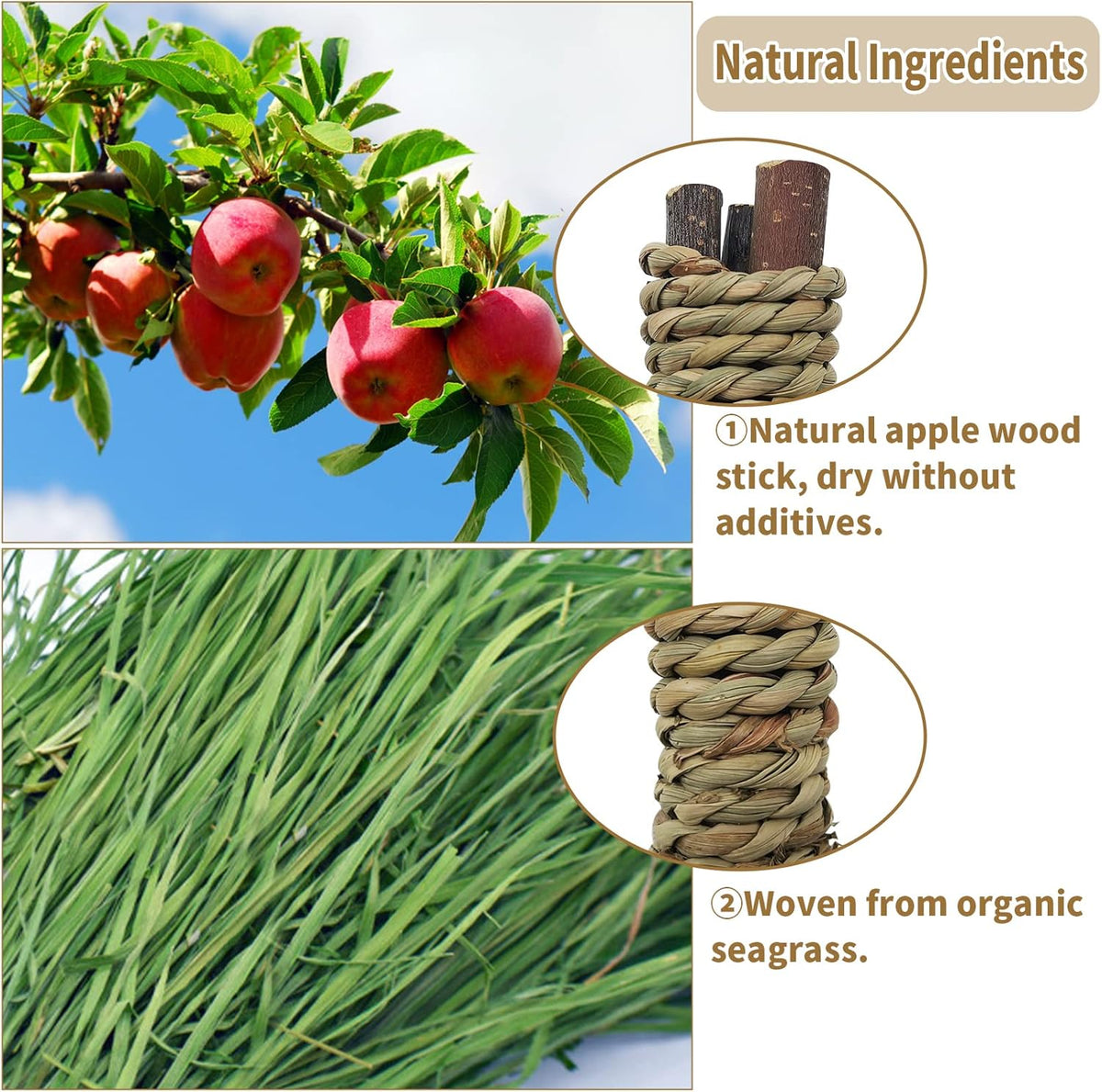 Fhiny 12 PCS Guinea Pigs Chew Toys, Natural Apple Branch Seagrass Molar Sticks for Teeth Bunny Chew