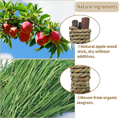 Fhiny 12 PCS Guinea Pigs Chew Toys, Natural Apple Branch Seagrass Molar Sticks for Teeth Bunny Chew