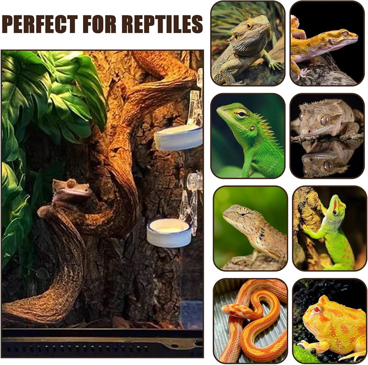 BNOSDM 3Pcs Reptile Climbing Branches Decor,Snake Climbing Branch,Gecko Climb Wood,Lizard Forest