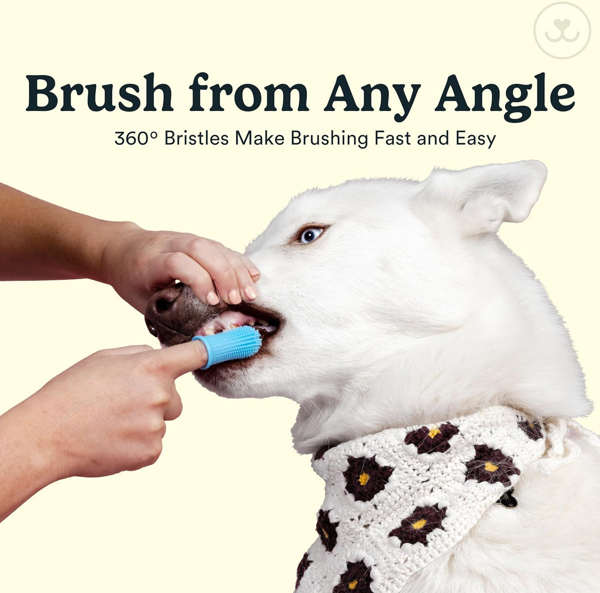 Jasper Dog Toothbrush, 360º Dog Tooth Brushing Kit, Cat Toothbrush, Dog Teeth Cleaning, Dog Finger