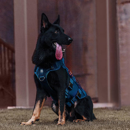 OneTigris Tactical Dog Harness for Small Medium Large Dogs, Mesh Design Service Dog Vest Breathable