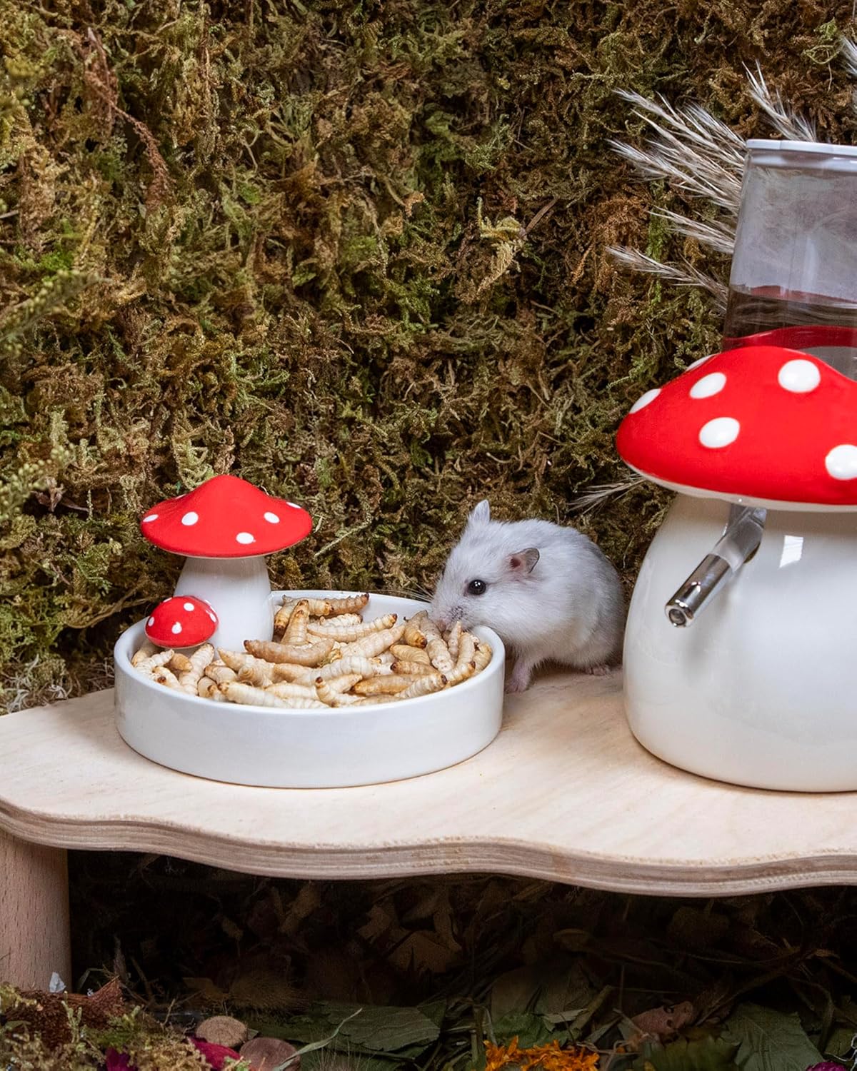 Niteangel Small Animal Snack & Treats - Small Critter Natural Treat for Dwarf Syrian Hamsters