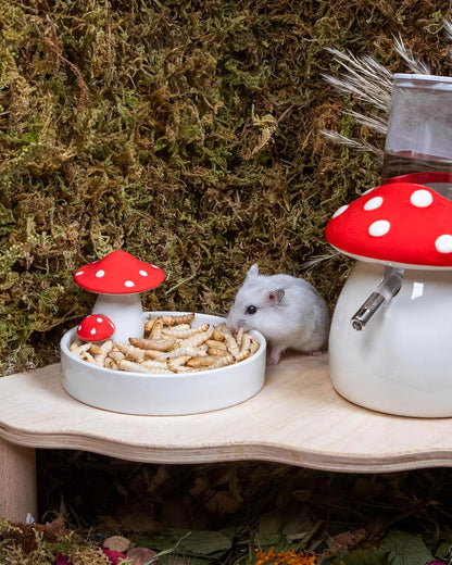 Niteangel Small Animal Snack & Treats - Small Critter Natural Treat for Dwarf Syrian Hamsters