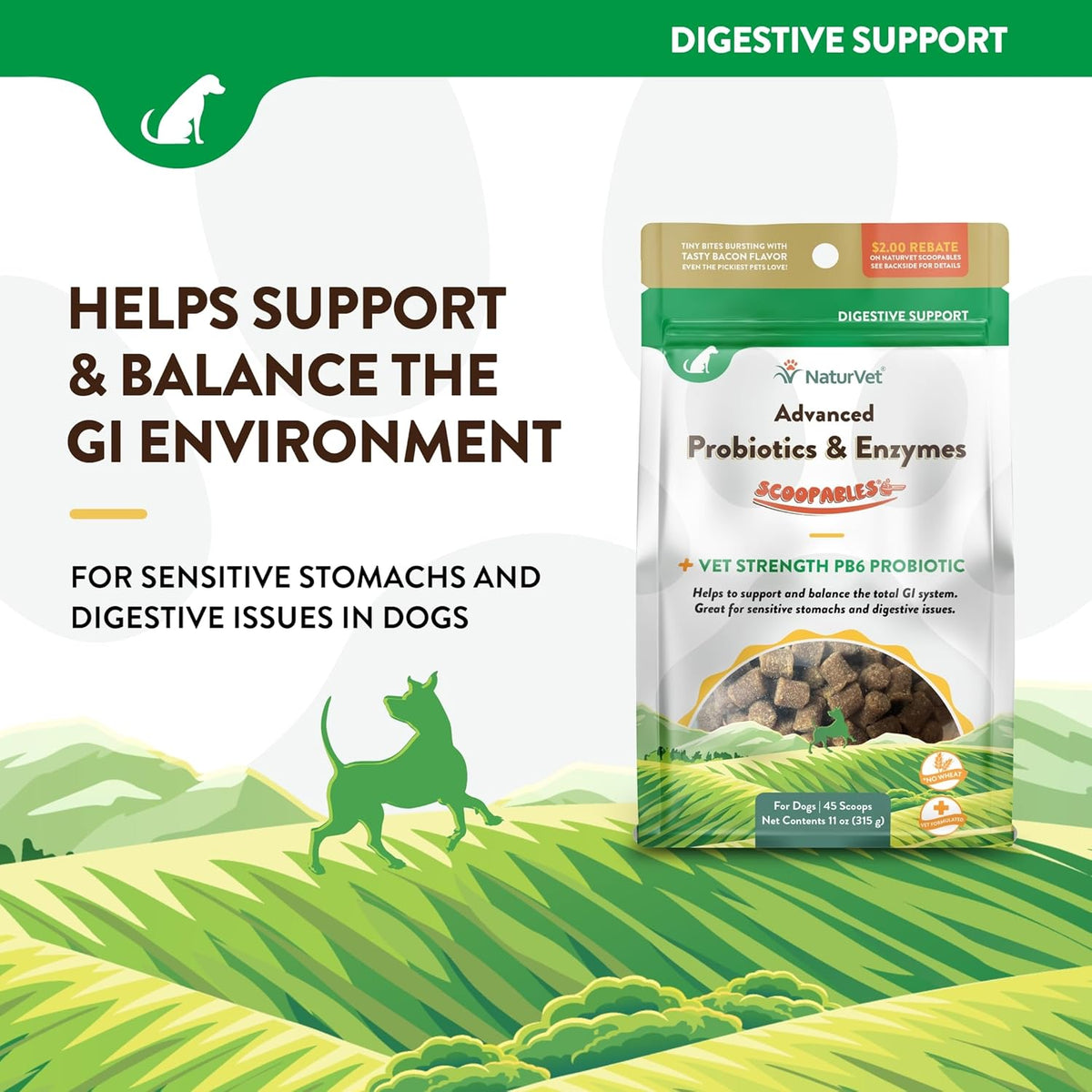 NaturVet Scoopables Advanced Probiotics for Dogs - Chewable Dog Probiotics & Digestive Enzymes