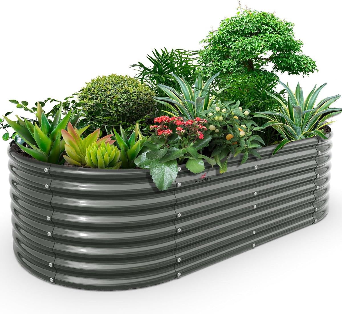 A ANLEOLIFE 8x4x2ft Galvanized Raised Garden Bed Kit, Oval Metal Deep Root Planters for Outdoor