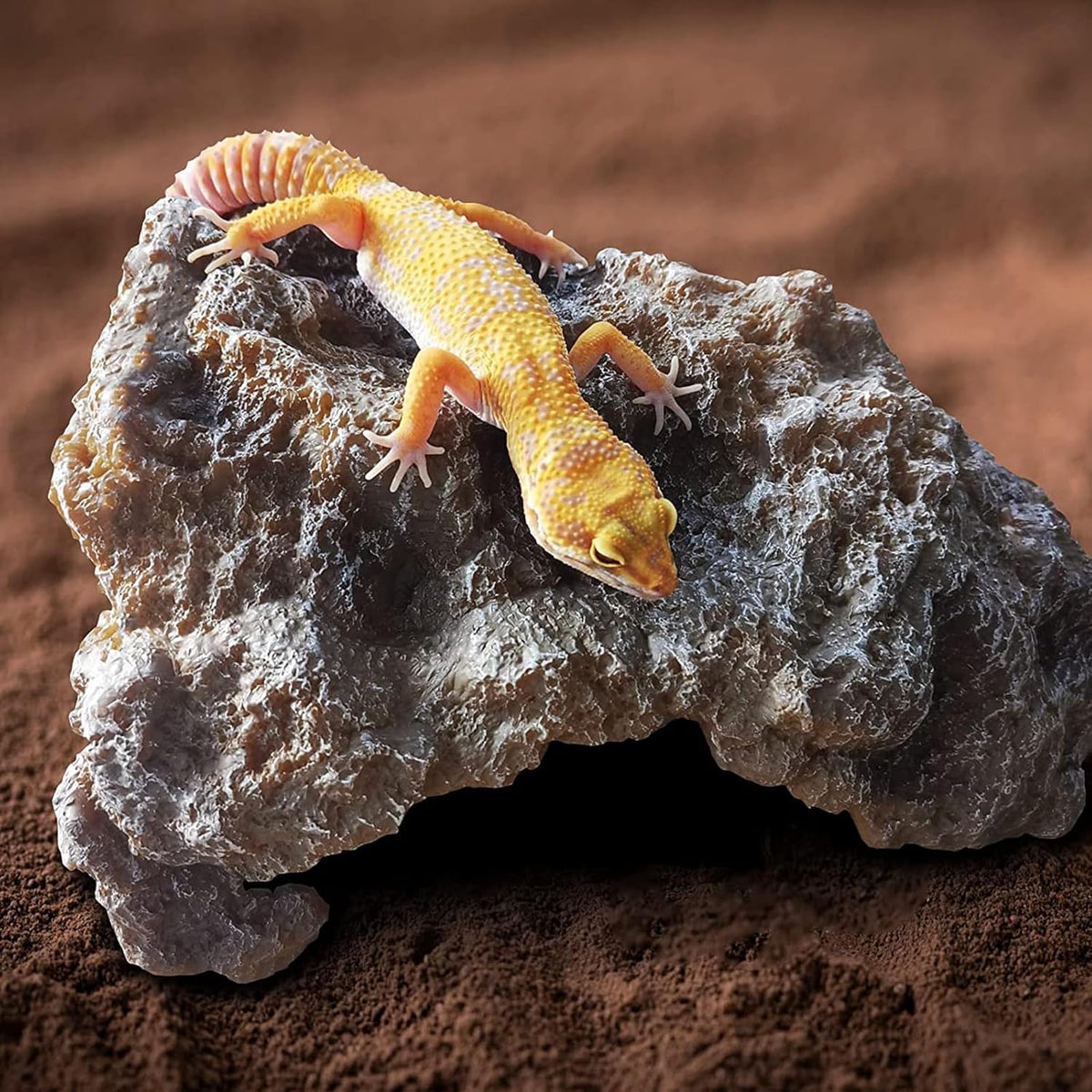 Reptile Hides Large Rock Reptile Cave Hideout Terrarium Habitat Decor Ornament Shelter for Snake