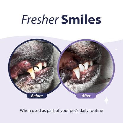 Dental Fresh Advanced Plaque and Tartar Water Additive, 17oz – Dog Teeth Cleaning Formula to