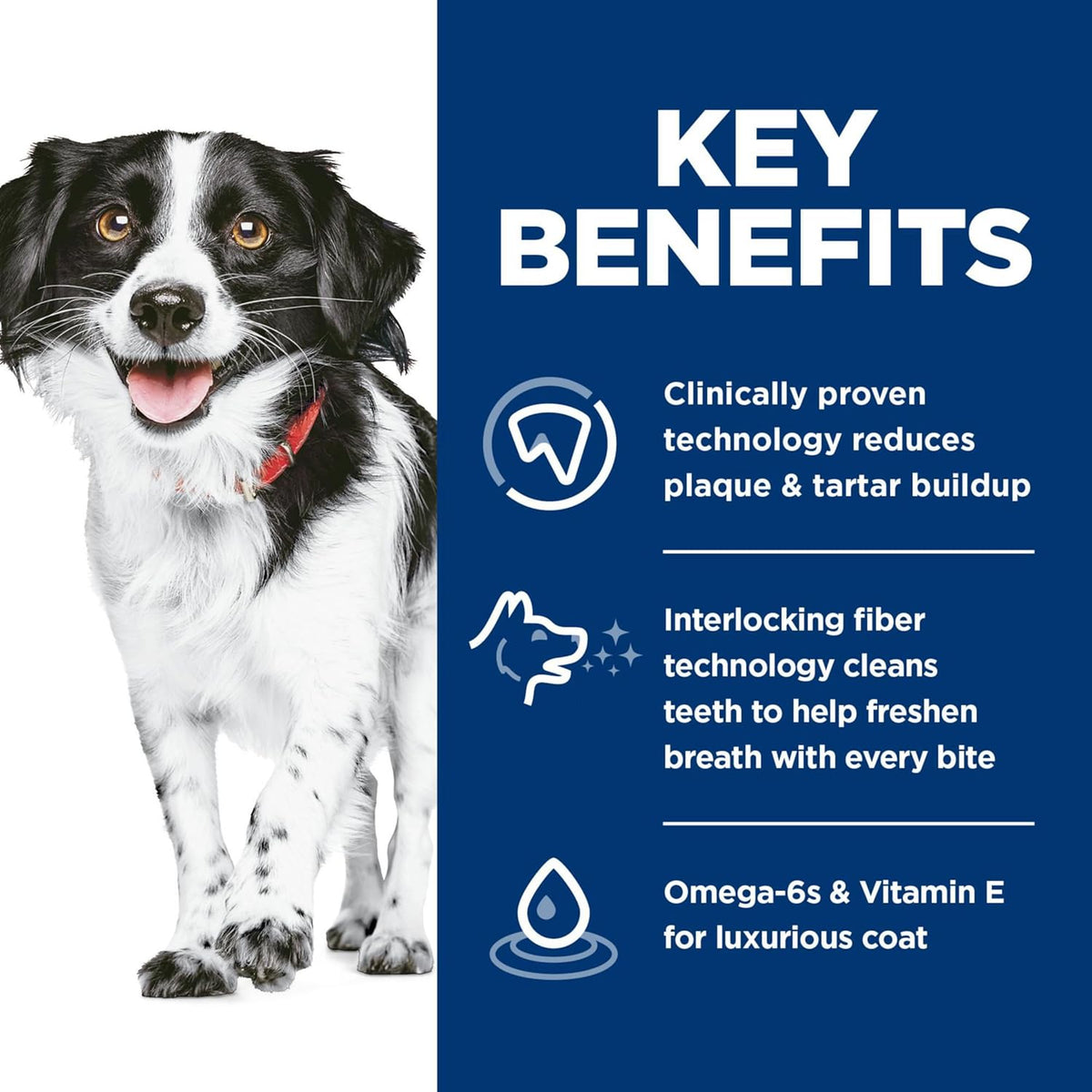 Hill's Science Diet Oral Care, Adult 1-6, Small & Mini Breeds Plaque & Tartar Buildup Support, Dry