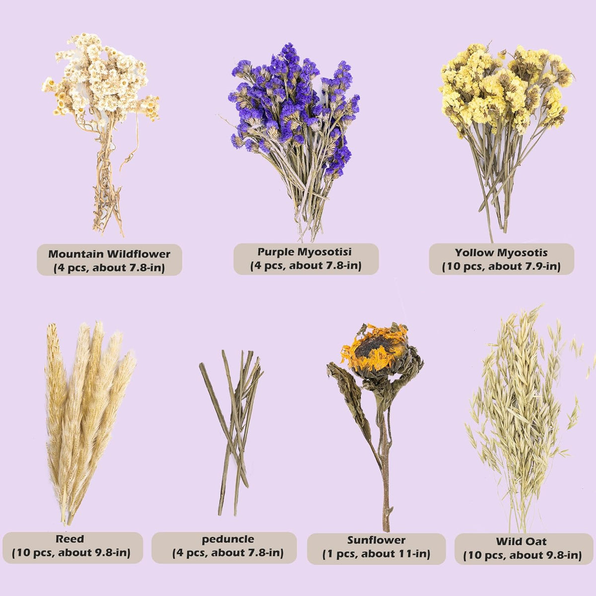 Natural Ear of Grain Flower&Herb Bedding Mate Habitat Decor, Adding Fun Hamster Accessories for