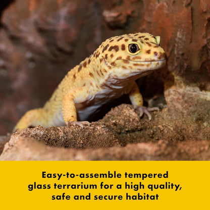 Zilla QuickBuild Reptile 20 Gallon Glass Terrarium Habitat with Swing Door For Geckos, Snakes