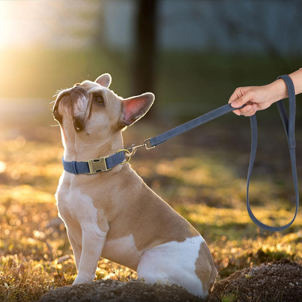 Didog Soft Leather Dog Collar, Durable Heavy Duty Dog Collars with Quick Release Metal Buckle
