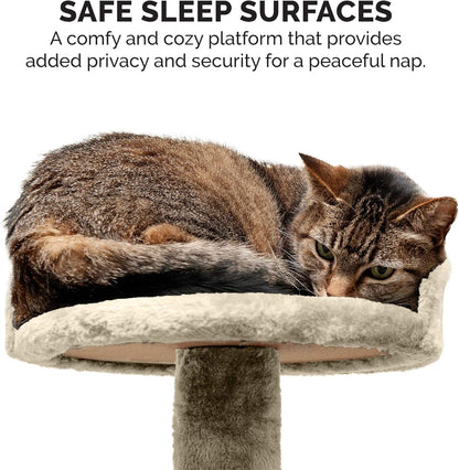 Furhaven 49.5" Tall Cat Tree for Indoor Cats, Ft. Sisal Scratching Posts, Plush Ball Toy, & Busy