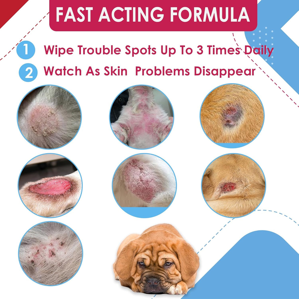 Chlorhexidianes Wipes for Dogs, Cats and Horses (Made in U.S.A) (USA) (Ketoconazole & Chlorhexidine