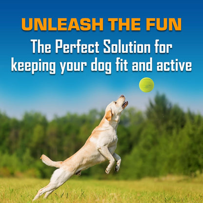 Nerf Dog Classic Squeak Ball Outdoor Dog Toys, 3.8 Inch Dog Ball Fetch Toy, Squeaking Toy for