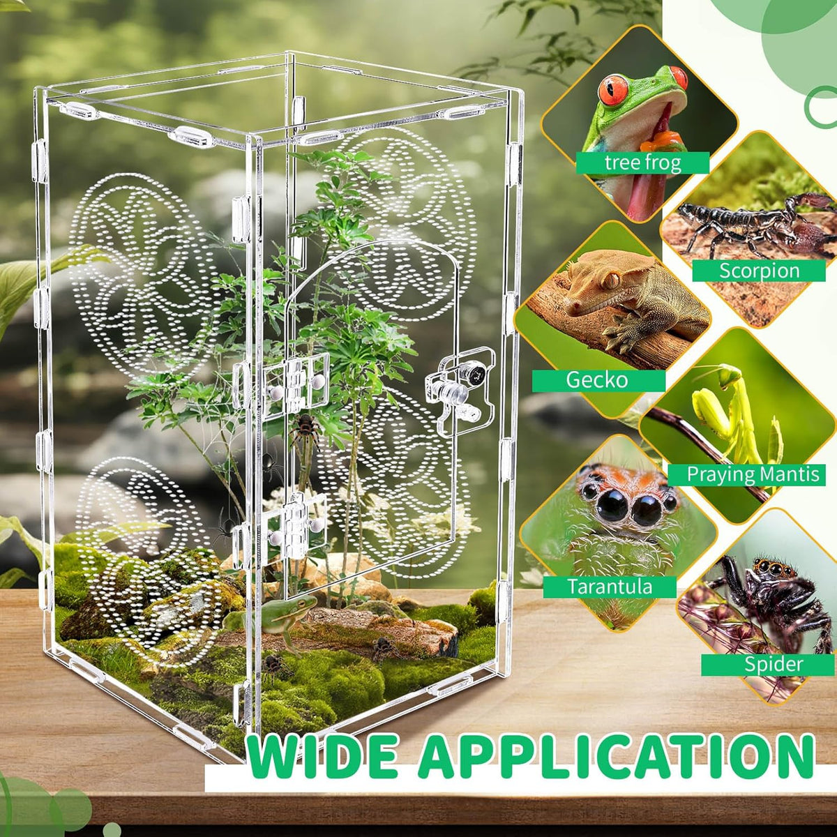 Jumping Spider Enclosure, 12x6x6 Inch Acrylic Tarantula Enclosure, Jumping Spider Accessories with