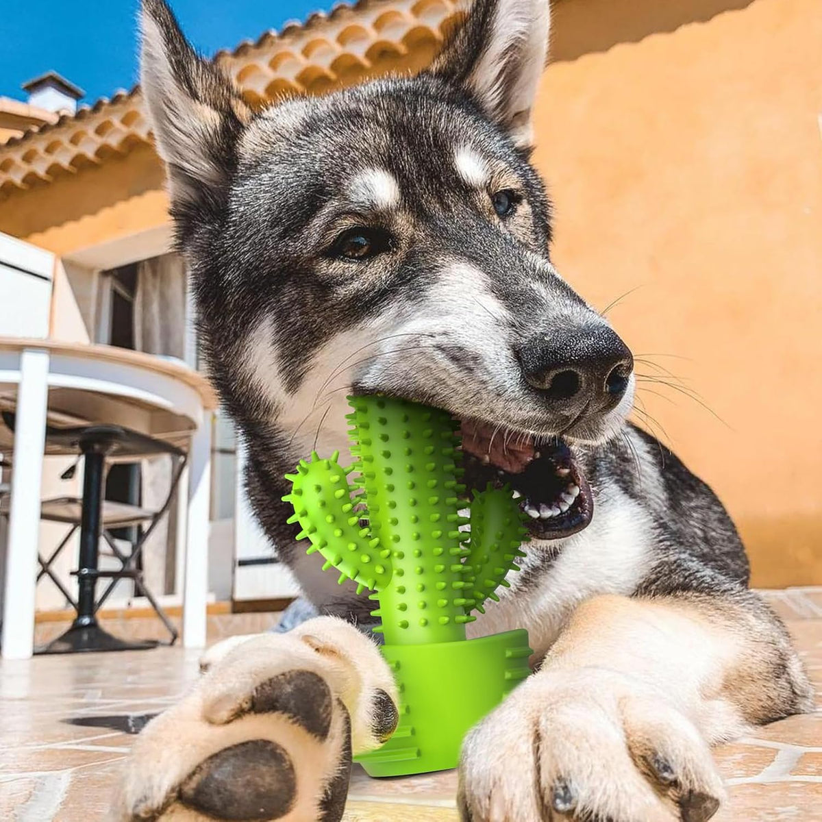Dog Chew Toys, Toothbrush Stick Teeth Cleaning Brush Dental for Small Medium Large Dog, Rubber