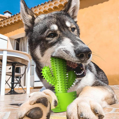 Dog Chew Toys, Toothbrush Stick Teeth Cleaning Brush Dental for Small Medium Large Dog, Rubber