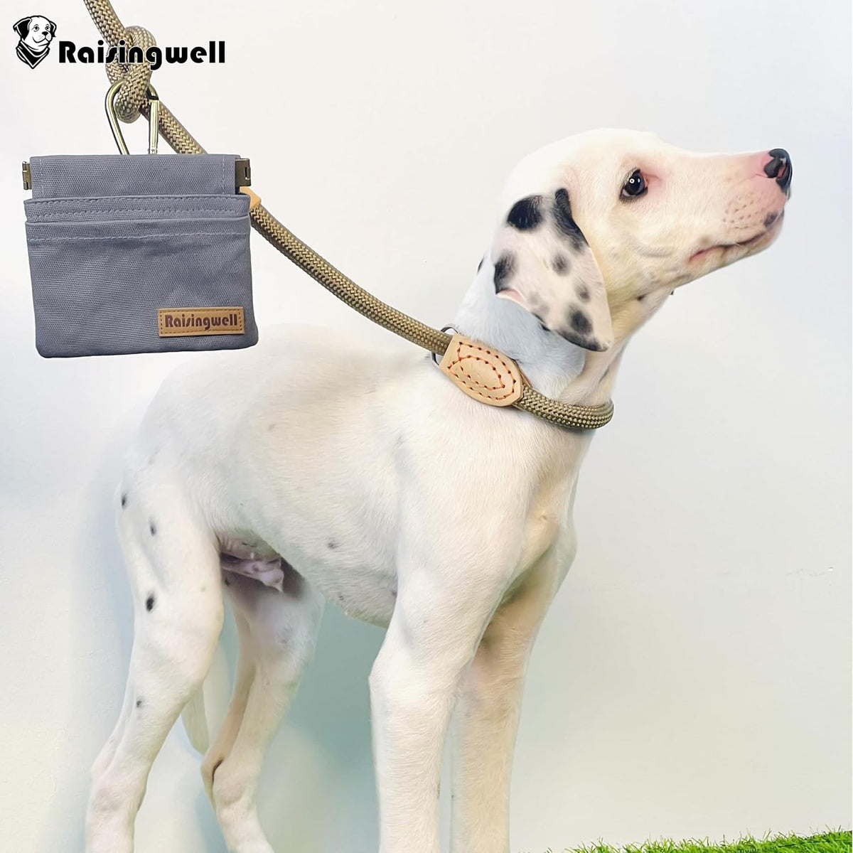 Dog Treat Pouch, Small Cotton Pocket Sized Training Holder, Hand Free Walking Fanny Bag with