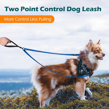 PetBonus Two Point Control Dog Leash, Works with No Pull Harnesses, No Tangle Dog Training Leashes