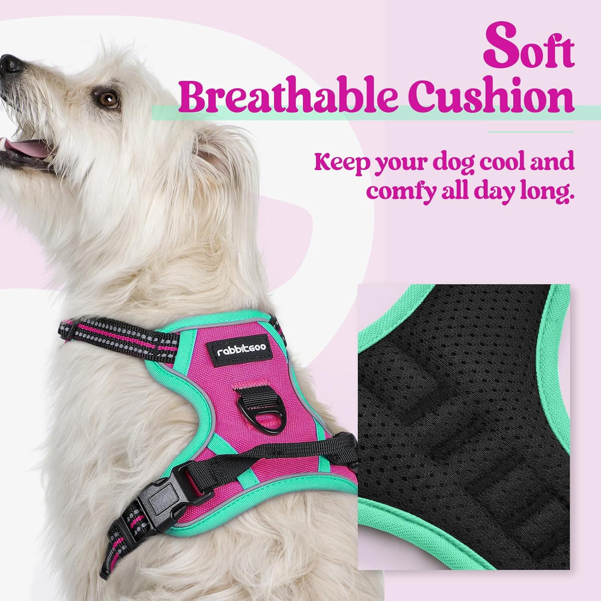 rabbitgoo Dog Harness No Pull with 2 Leash Clips, Adjustable Soft Padded, Reflective Oxford No
