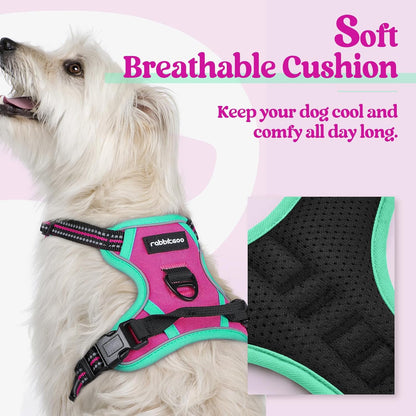rabbitgoo Dog Harness No Pull with 2 Leash Clips, Adjustable Soft Padded, Reflective Oxford No