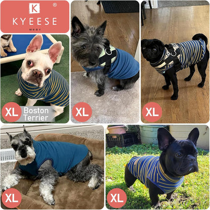 KYEESE 2Pack Dog Sweater Pullover Dog Sweaters for Small Dogs Male Warm Pet Coats Stretchy