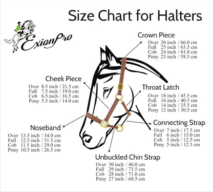Exion Leather Horse Halter with Fancy Stitching | Black & Brown Padded Halter with Brass Hardware |