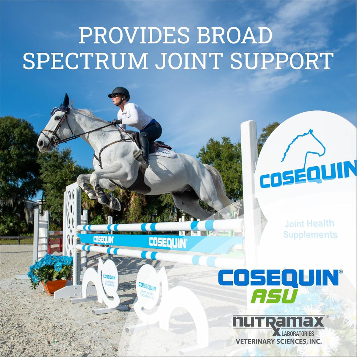 Nutramax Cosequin ASU Joint Health Supplement for Horses - Powder with Glucosamine, Chondroitin