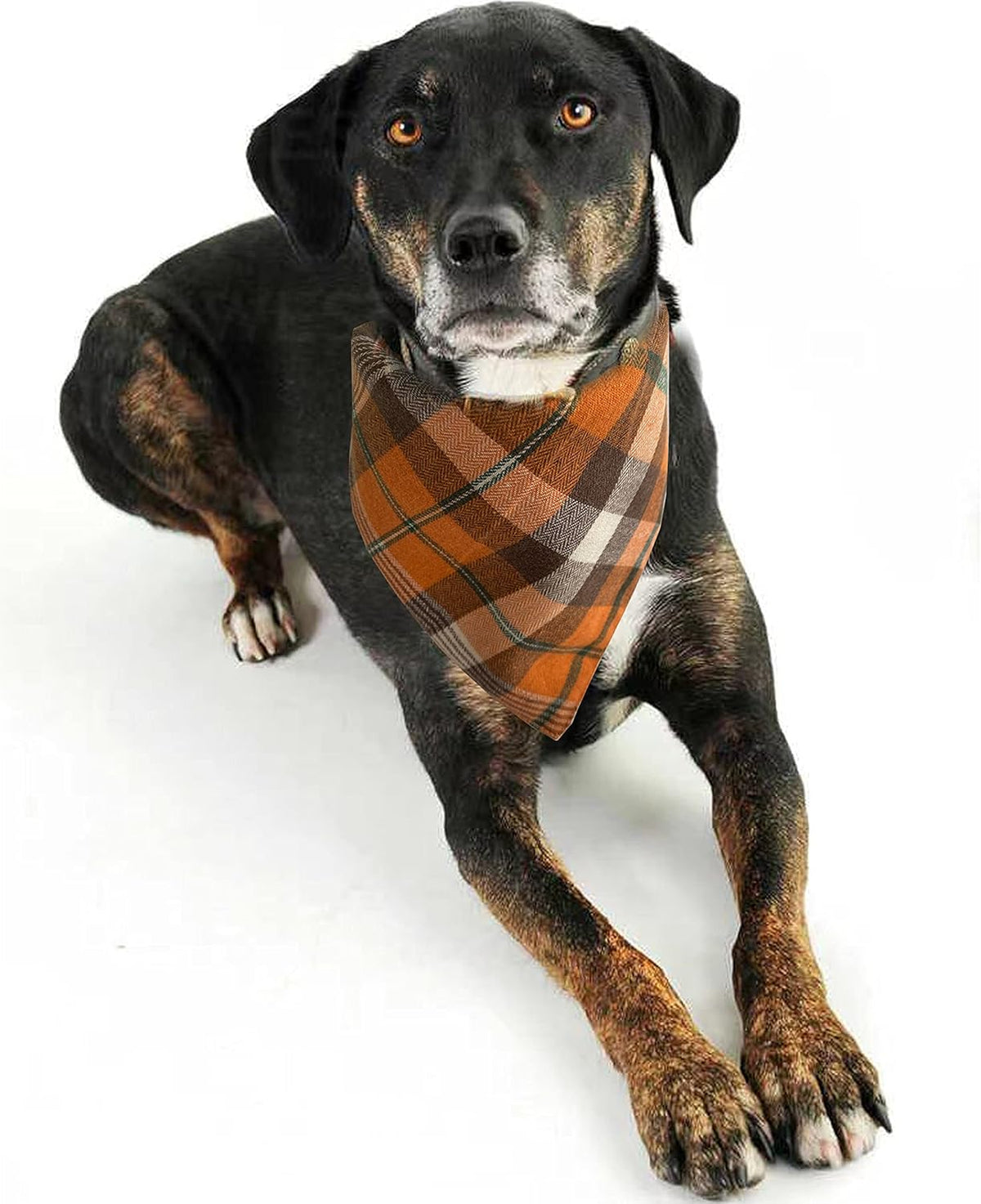 Realeaf Fall Halloween Dog Bandanas 2 Pack, Orange Plaid Pet Scarf for Boy and Girl, Premium