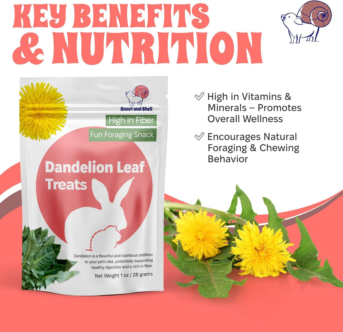 Snout and Shell Dandelion Leaf Treat for Small Pets – 1 oz (28g) | High-Fiber, Natural Foraging